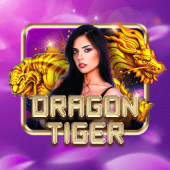 Dragon Tiger on Bingo Corned Beef